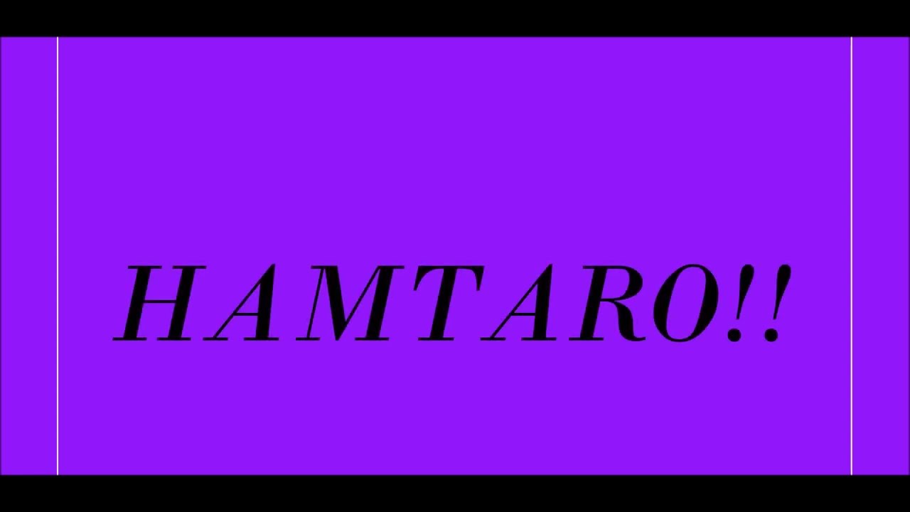 Hamtaro Theme Song Lyrics Youtube Hamtaro Theme Song Lyrics Youtube