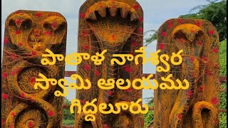 పాతాళ నాగేశ్వర స్వామి