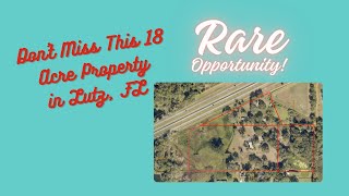 1810 Curry Rd, Lutz, FL 18.2 Acres for Sale