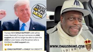 Shuler King - Trump’s New Child Support Law