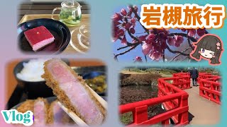 【お花見】キセキ食堂 / 岩槻城址公園 / ヨロ研カフェ