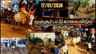 2024 மூஞ்சூர் பட்டை  சிறப்பு செய்ய வந்த காளைகள் # களத்தில் சீறி விளையாடி ஓடிய காளைகளின் வீடியோக்கள்