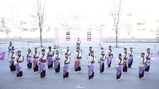 斬桐舞 📍サクラタウンよさこい～師走祭～ (第一部) 2023-12-10T12:19