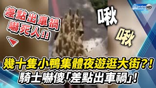 幾十隻小鴨集體夜遊逛大街？！　騎士嚇傻「差點出車禍」！ @ChinaTimes