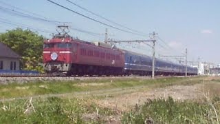 EF81 138＋24系6B ニコニコ超会議号(9716レ)@2013.4.27