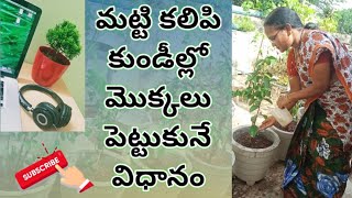 Soil Mixing and Plantation in pots | మట్టి కలిపి కుండీల్లో మొక్కలు పెట్టుకునే  విధానం...