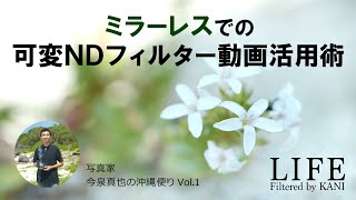 ”一眼動画撮影におすすめ！プロが認めるKANI可変NDフィルター”　今泉真也先生