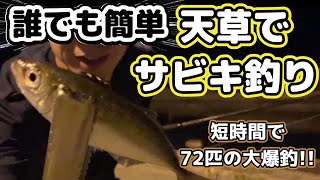 豆アジが大量に釣れてる港があると聞いたのでサビキ釣りで狙ってみたら短時間で大量に釣れてしまった #サビキ釣り #ファミリーフィッシング #アジング