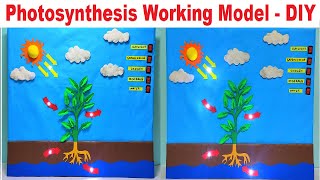 photosynthesis working model science project for exhibition with led lights - diy | craftpiller