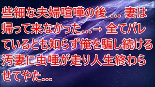 【修羅場】些細な夫婦喧嘩の後…妻は帰って来なかった…→全てバレているとも知らず俺を騙し続ける汚妻に虫唾が走り人生終わらせてやた…