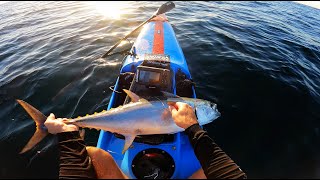 ANZAC DAY LONGTAIL TUNA EVERYWHERE