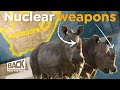 Why Radioactivity is the Rhino's Last Chance | Back from the Brink