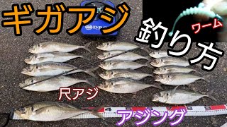 【アジング】尺アジ！ギガアジ！釣りに行ってきた・・・