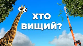 Навіщо вам висоторіз? | GTM GZJ260AE