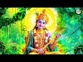 live मेरा आपकी कृपा से सब काम हो रहा है mera aaapki kripa se superhit krishna bhajan