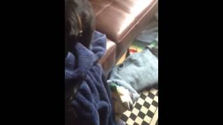 Bella The Towel Killer