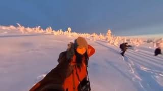 Winter in Oulanka national park