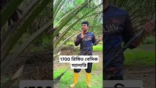 1700 রিঙ্গিত বেসিক স্যালারি মালয়েশিয়াতে এখন #malaysia #পাম_বাগান