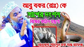 আবু বকর (রাঃ) কে সাপের দংশন বিষের কঠিন যন্ত্রণা || মাওলানা শামসুল হক অন্ধ হাফেজ সাহেব ওয়াজ #islamic