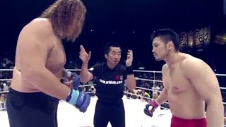 Top 5: Pride FC MMA Freakshow Fights Highlight HD 2016