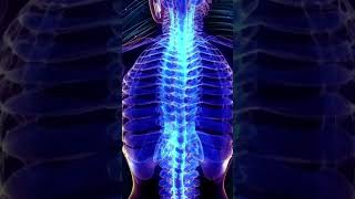 🧠 Boost Spine-Brain Connection: Relief from Spinal \u0026 Coccyx Pain | Healing Music |