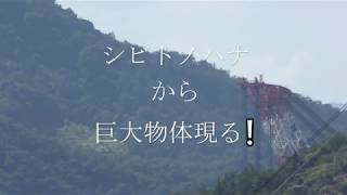 巨大起重機船曳航からアスター曳き切替【4K】深田サルベージ建設『駿河』