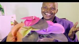 KYAMA BY PST. KARIUKI (OFFICIAL VIDEO)