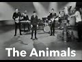 THE ANIMALS RECORDED APRIL 1964 By Tyne Tees TV's The Rehearsal Room