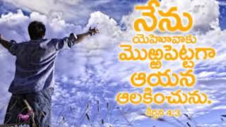 Devude Nakaashrayambu | దేవుడే నాకాశ్రయంబు | Instrumental|(Flute/Keybord)|Telugu Christian song