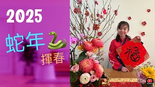 2025年第一條片，祝大家身體健健康康，心想事成，萬事如意，開開心心❤️❤️#蛇年揮春🐍