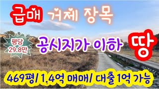 [급매!!] 거제 장목 공시지가 이하 급매 땅- 송진포리 토지 평당 29.8만, 469평, 인수금액 4700만 원