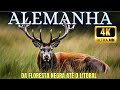 🌲Alemanha Selvagem - Um Documentário Épico da Floresta Negra 🌲 até o Litoral - Parte 1 EXTRA LONGO