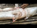 how to cook tasty and delicious native lechon baboy