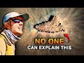 This Site in the Sahara Was Never Meant to Be Found...