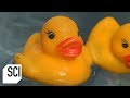 When Thousands of Rubber Ducks Were Accidentally Dumped into the Ocean