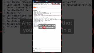 Can You Really Change Api Requests In Seconds With Burp Suite
