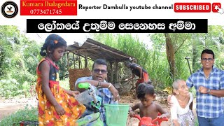 ලෝකයේ උතුම්ම සෙනෙහස ආදරණීය අම්මා | REPORTER Dambulla | Kumara Ihalagedara | Sri Lanka News