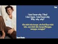 Shawn Mendes - Why Why Why _ Lirik lagu terjemahan | Sub Indo, Roman, Eng