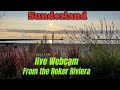 SUNDERLAND LIVE WEBCAM MORN/AFT LIVESTREAM FROM THE ROKER RIVIERA #davidfoster9799 #dolphin #roker