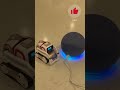 cozmo asks alexa to fart 💨 shorts