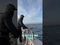 동해 대구낚시 왕대구 잡기 좋은 액션 fishing 대구낚시