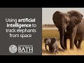 Tracking elephants from space