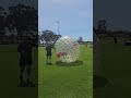 Hamster ball run 😆 🤣 😂