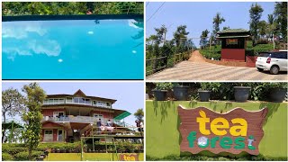 Tea Forest Resort Wayanad // Tea Resort // Resort in Tea Plantation