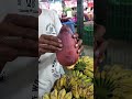 amazing banana flowers that can be seen in southeast asia