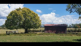 Hauraki Rail Trail - Paeroa to Thames