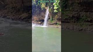 Patijora falls||Nokdangsa vlog||#waterfall #nature