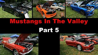 07/20/24 Mustangs In The Valley in Maggie Valley part 5 #mustang #fordmustang #classiccars