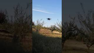 ArduPilot Lua scripting test