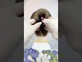 #viral #shotrs #hairstyle #ytshorts #riziseth #hairaccessories #shopping